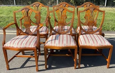 Set of Six Yew Dining Chairs by Bradley