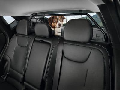 Kia EV6 Dog Guard