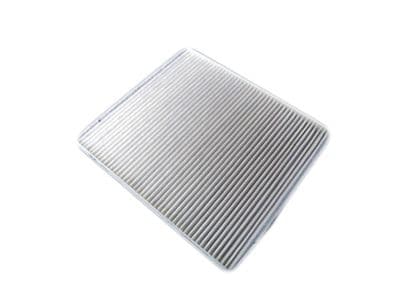 Pollen Filters