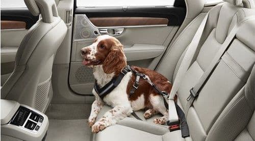 Volvo Dog Harness