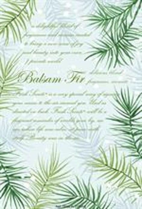 BALSAM FIR  - WILLOWBROOK SCENTED SACHET