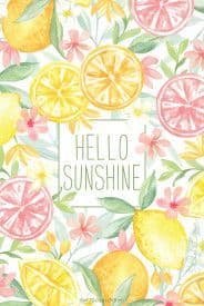 HELLO SUNSHINE  WILLOWBROOK SCENTED SACHET