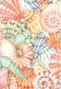 SEA SHELLS - WILLOWBROOK SCENTED SACHET
