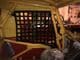 Window/Door Net Tomcat Large