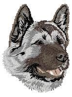 Akita Inu (american variety)