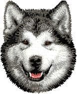 Alaskan Malamute