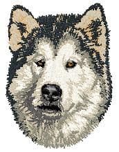Alaskan Malamute 3