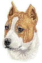 American Staffordshire Terrier 2