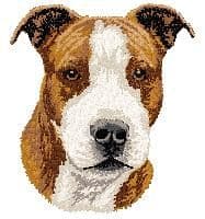 American Staffordshire Terrier 3