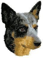 Australian Cattle Dog
