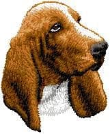 Basset Hound