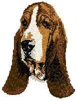 Basset Hound 3
