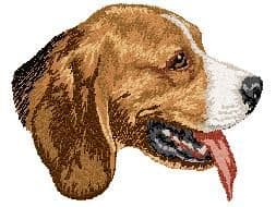 Beagle 4