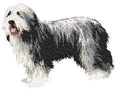 Bearded Collie 2