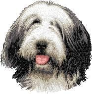Bearded Collie