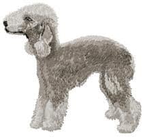 Bedlington Terrier 4