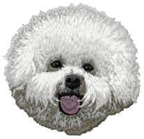 Bichon Frise 3