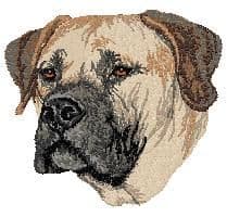 Boerboel