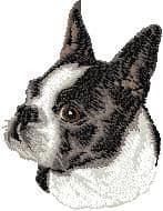 Boston Terrier