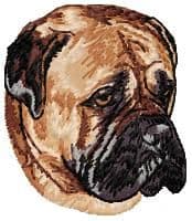 Bullmastiff 2