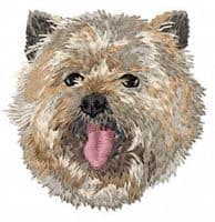 Cairn Terrier 5