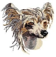 Chinese Crested Dog 2