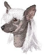 Chinese Crested Dog