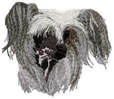 Chinese Crested Dog 5