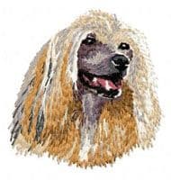 Chinese Crested Dog 7