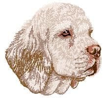 Clumber Spaniel 2