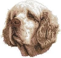 Clumber Spaniel