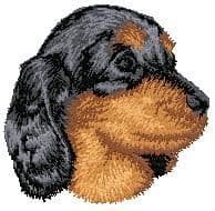 Dachshund