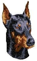 Dobermann 5