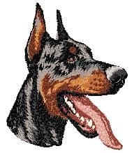 Dobermann 6
