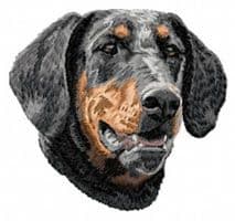 Dobermann 8