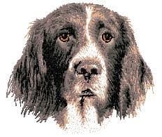 Drentsche Patrijshound