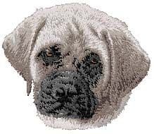 English Mastiff 2