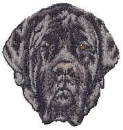 English Mastiff