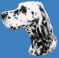 English Setter