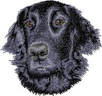 Flat-Coated Retriever