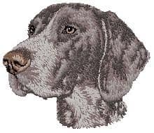 German Shorthaired Pointer