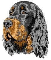 Gordon Setter 2