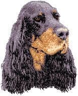 Gordon Setter