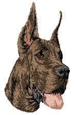 Great Dane 4