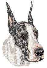 Great Dane 5