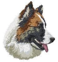Icelandic Sheepdog