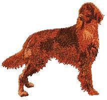 Irish Setter 3