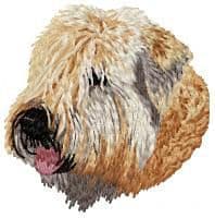 Irish Soft Coated Wheaten Terrier 2