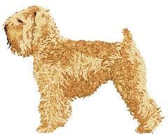Irish Soft Coated Wheaten Terrier