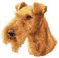 Irish Terrier